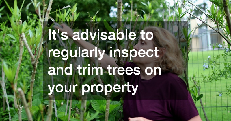 woman trimming trees in the backyard